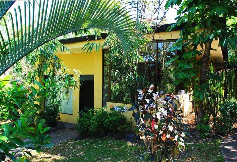 فيلا ديلوكس غرفتين نوم, Pura Vida