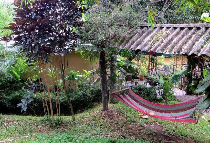 ‫فيلا غرفة نوم واحدة, Pura Vida