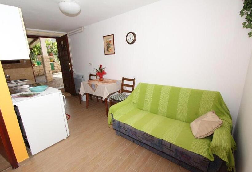 דירת חדר עם טרסה, Apartments And Room Silvana