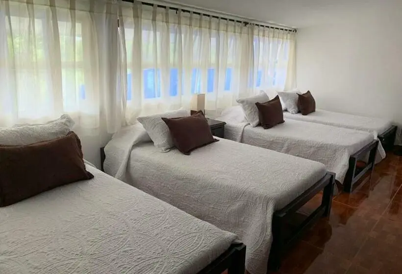 スーペリアファミリールーム, Finca Hotel La Manuela