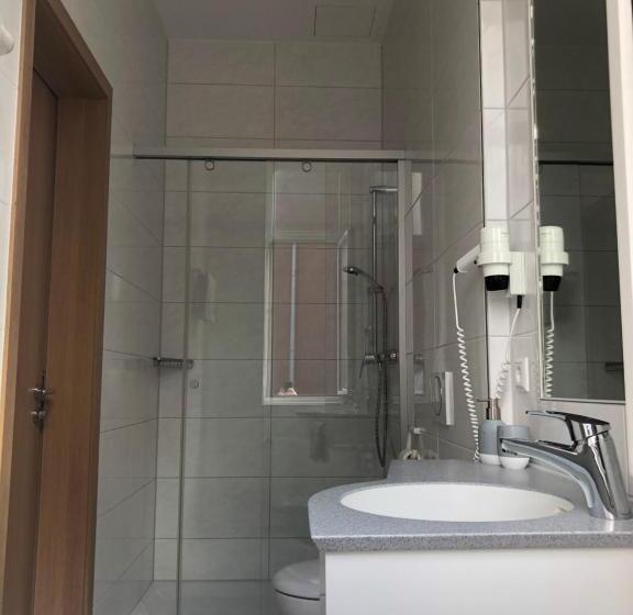 Standard Yhden Hengen Huone, Gasthof Zum Bären