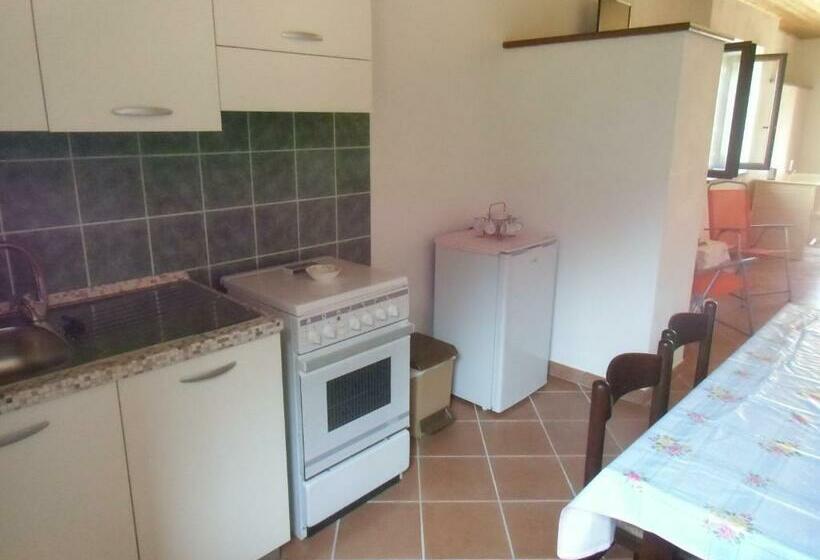 海の見えるスタンダードスタジオ, Stella Di Sicilia