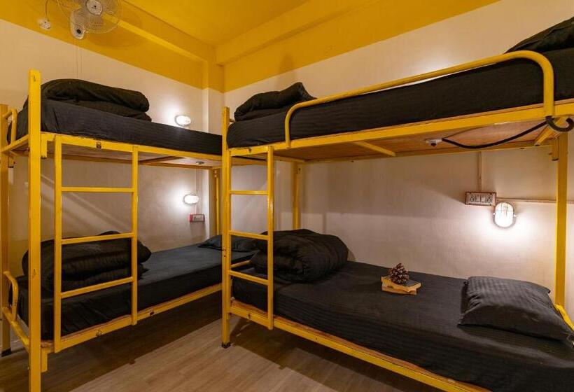 تختخواب در اتاق مشترک, Jungle Hostel By Whoopers