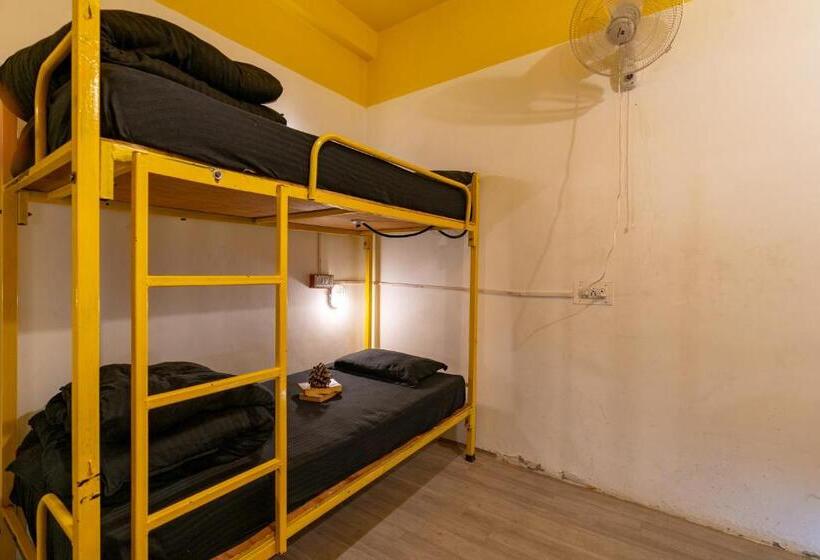 공동 객실, Jungle Hostel By Whoopers