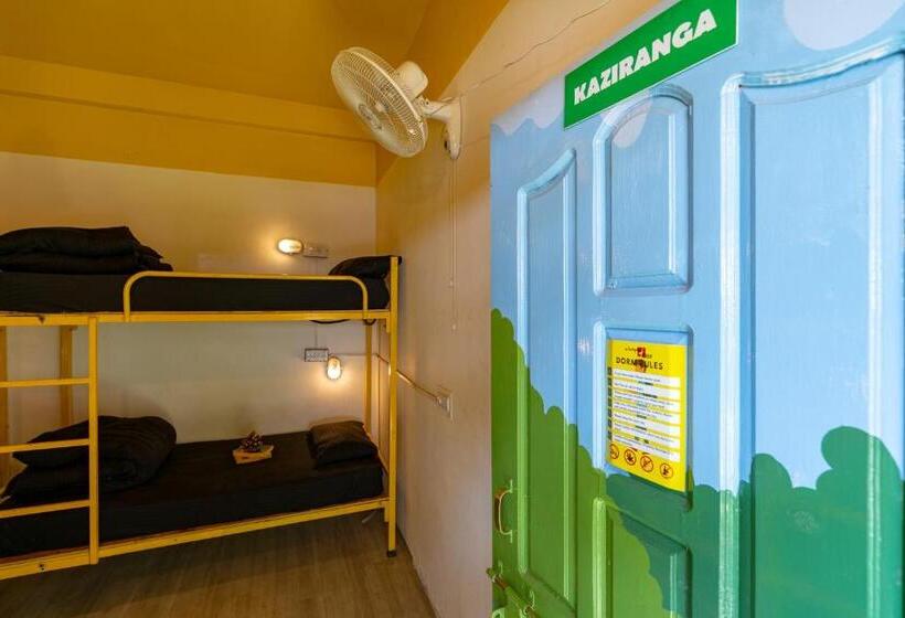 تختخواب در اتاق مشترک, Jungle Hostel By Whoopers