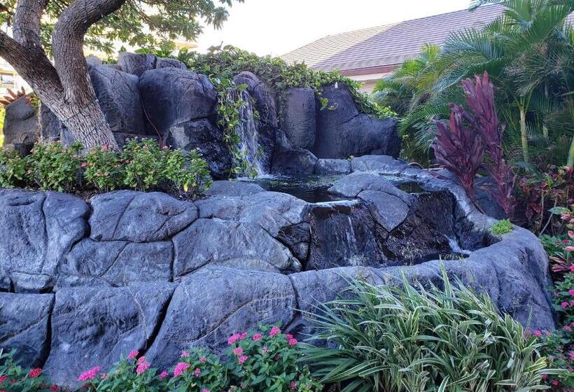 شقة غرفة واحدة مطلة على البحر, Maui Westside Presents  The Whaler 319