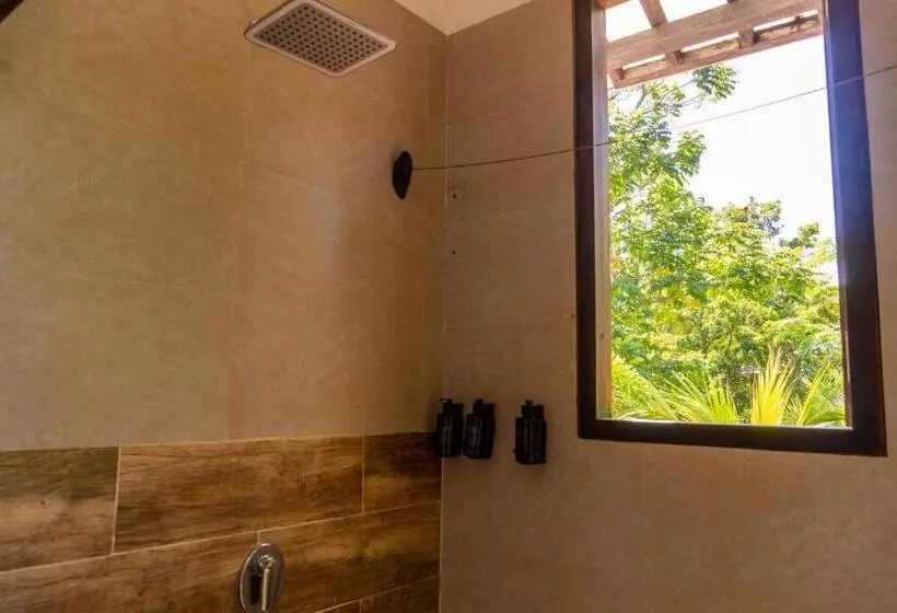 اتاق استاندارد, Coconuco Beach Palomino