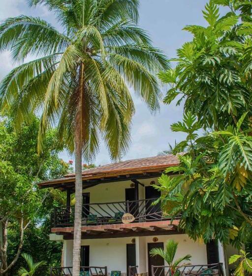 高级大房间, Coconuco Beach Palomino