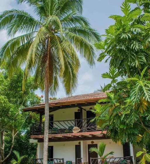 اتاق سوپریور, Coconuco Beach Palomino