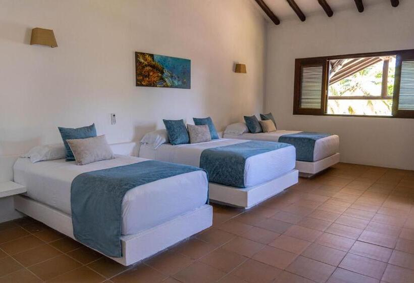 家庭间, Coconuco Beach Palomino