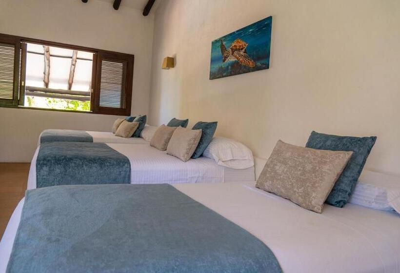 家庭间, Coconuco Beach Palomino