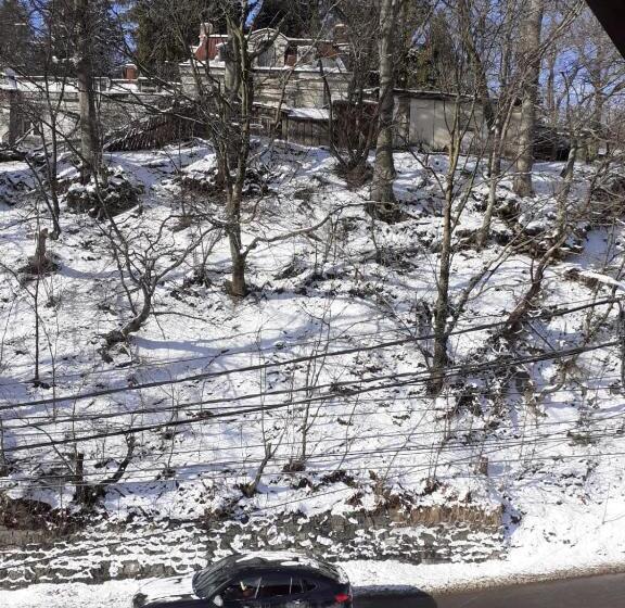 スタンダードルーム, Casa Ryana Sinaia