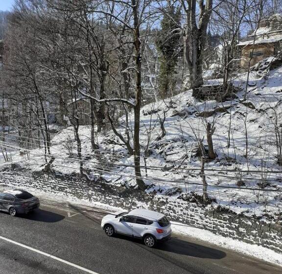 غرفة قياسية ثلاثية, Casa Ryana Sinaia