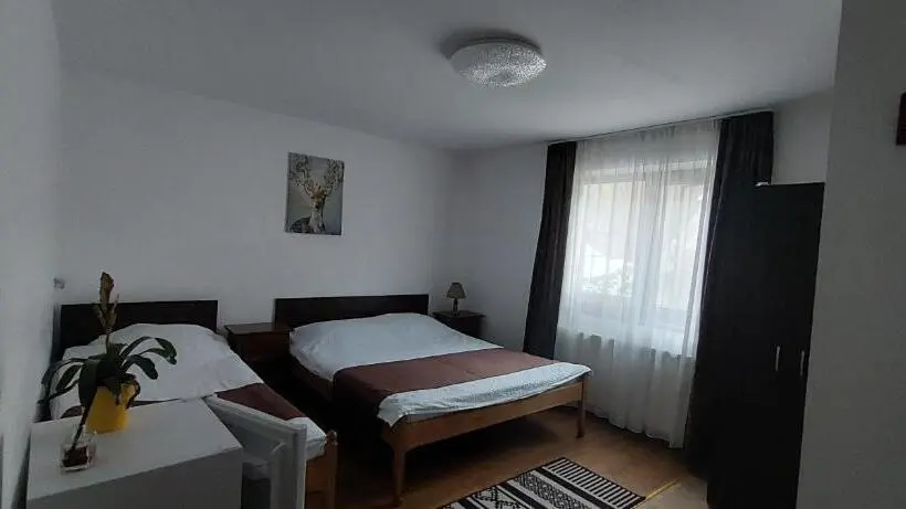 اتاق استاندارد سه نفره, Casa Ryana Sinaia