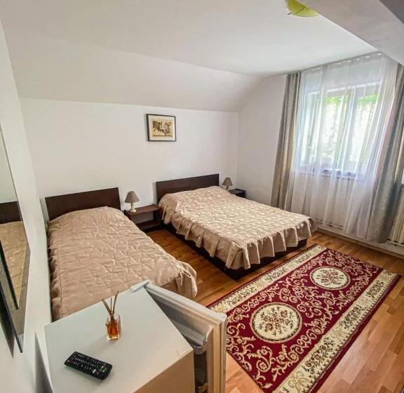 غرفة قياسية ثلاثية, Casa Ryana Sinaia
