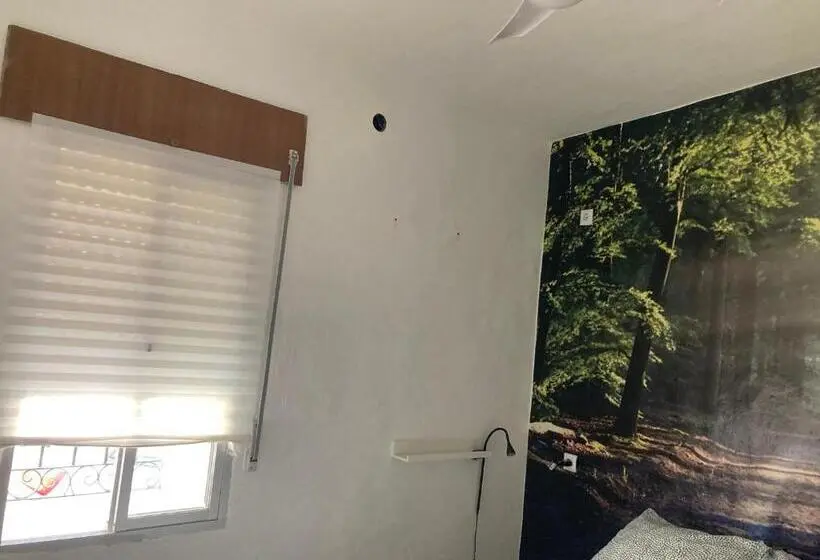 اتاق استاندارد با سرویس بهداشتی مشترک, Backpackers La Gaditana