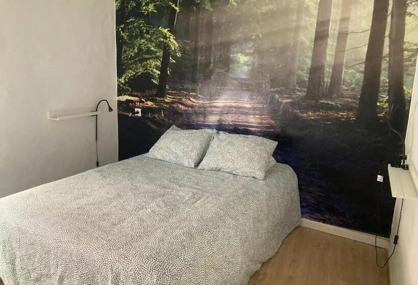 اتاق استاندارد با سرویس بهداشتی مشترک, Backpackers La Gaditana