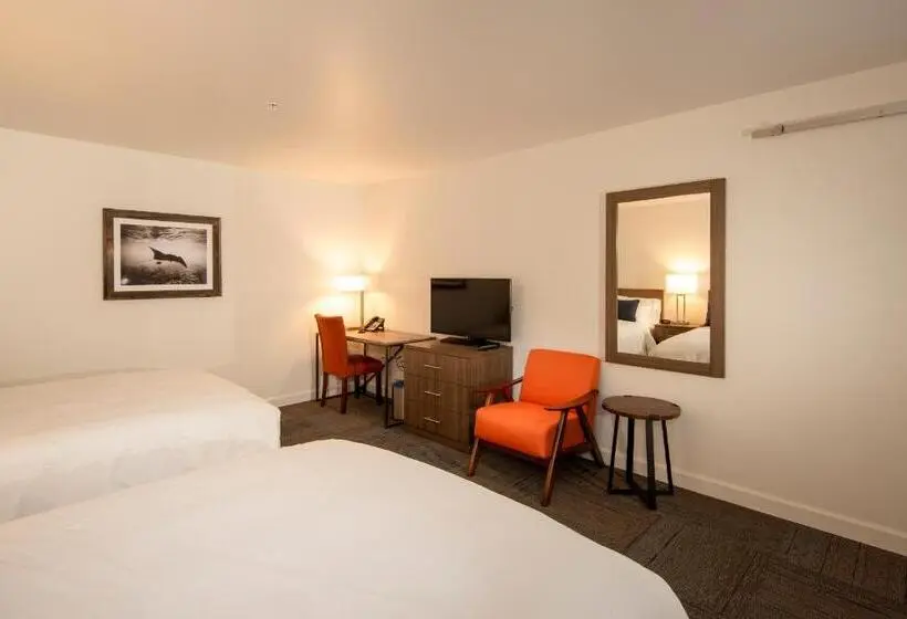 身障者適用スタンダードルーム, Inn At Moss Landing Point