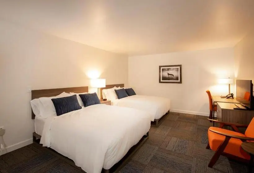 身障者適用スタンダードルーム, Inn At Moss Landing Point