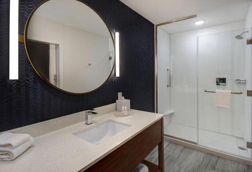 Стандартный Номер Кровать Кинг, Fairfield By Marriott Inn & Suites Grand Rapids Wyoming