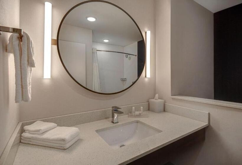 Люкс, Fairfield By Marriott Inn & Suites Grand Rapids Wyoming