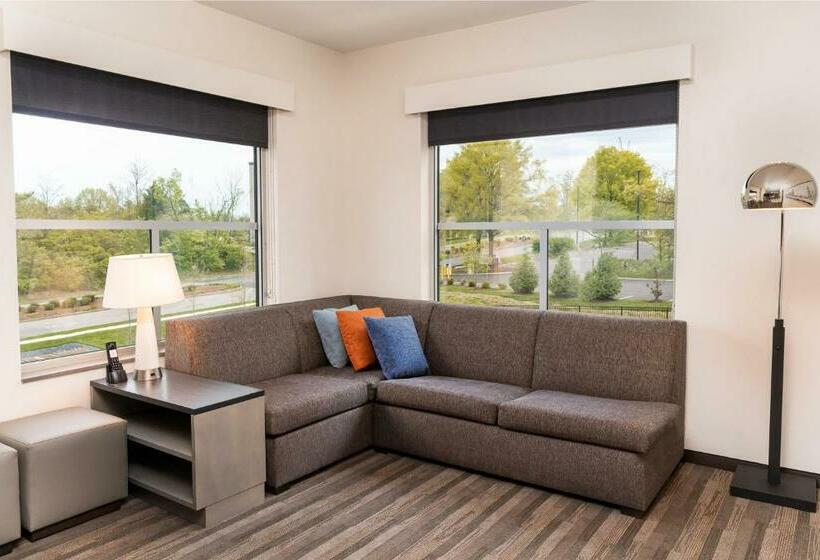 适合残疾人士使用的套间, Hyatt House Nashville Airport