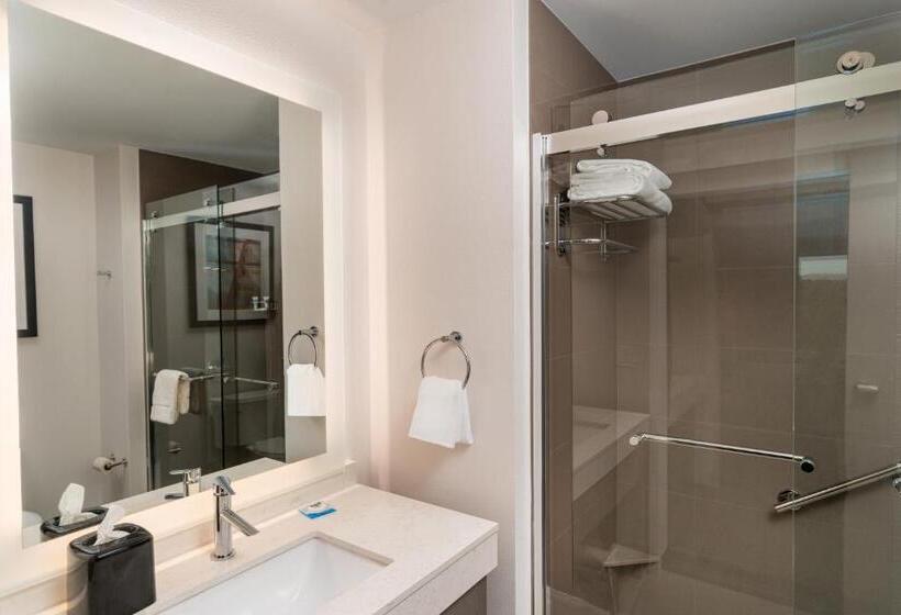 带大床的标准工作室, Hyatt House Nashville Airport