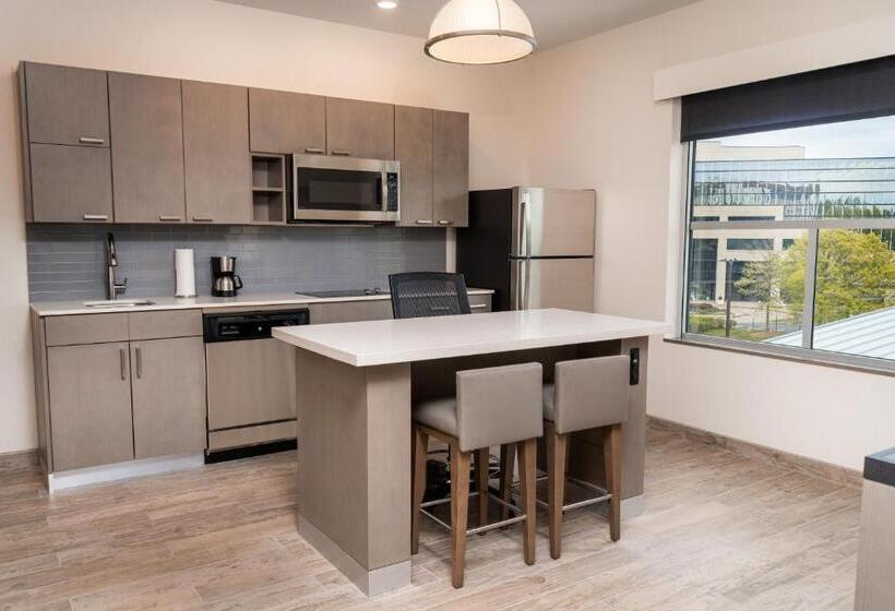 带大床的套房, Hyatt House Nashville Airport