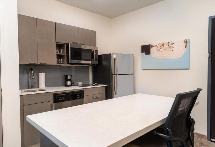 带大床的套房, Hyatt House Nashville Airport