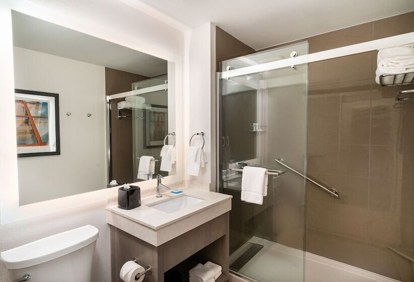 带四张床的标准工作室, Hyatt House Nashville Airport