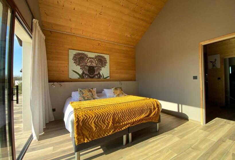 חדר סופריור לארבעה, World