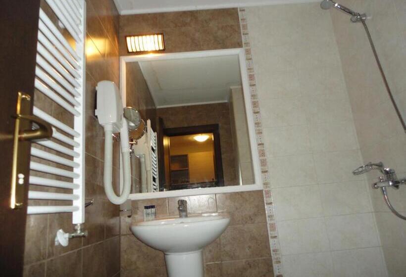 إستديو قياسى مزود بشرفة, Apart Hotel Dream