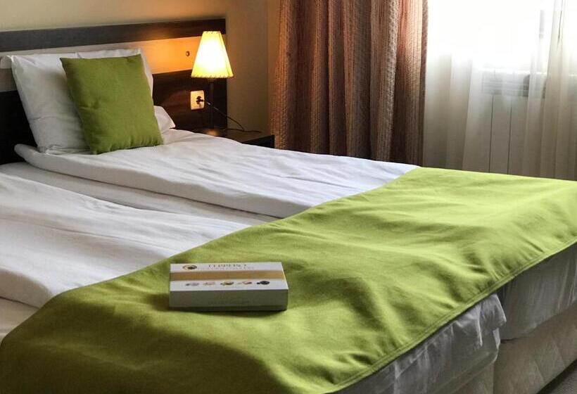 غرفة دوبلكس, Apart Hotel Dream