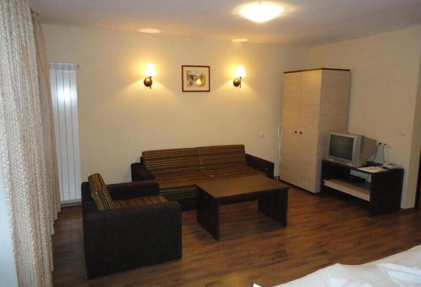 إستديو قياسى مزود بشرفة, Apart Hotel Dream