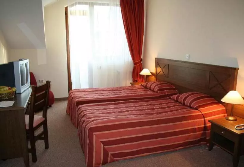 ベーシックルーム, Evelina Palace Hotel