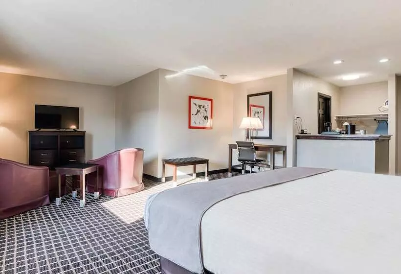ジュニアスイート, Alexis Hotel & Banquets Dallas Park Central Galleria