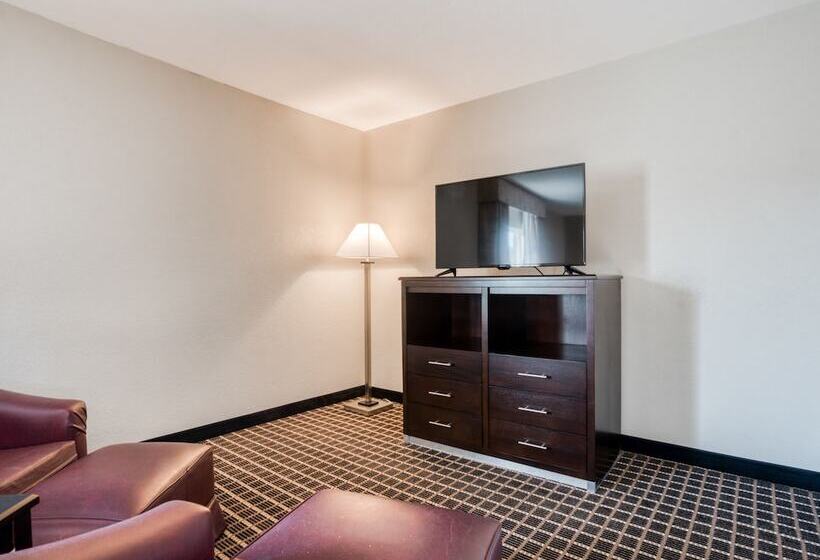 ジュニアスイート, Alexis Hotel & Banquets Dallas Park Central Galleria