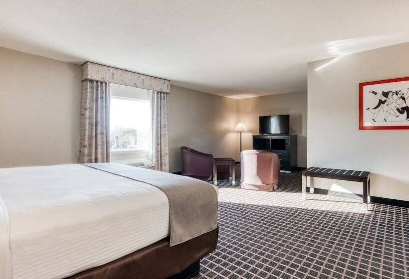 ジュニアスイート, Alexis Hotel & Banquets Dallas Park Central Galleria