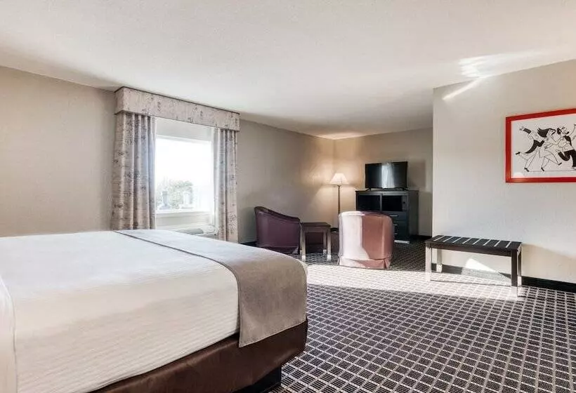 ジュニアスイート, Alexis Hotel & Banquets Dallas Park Central Galleria