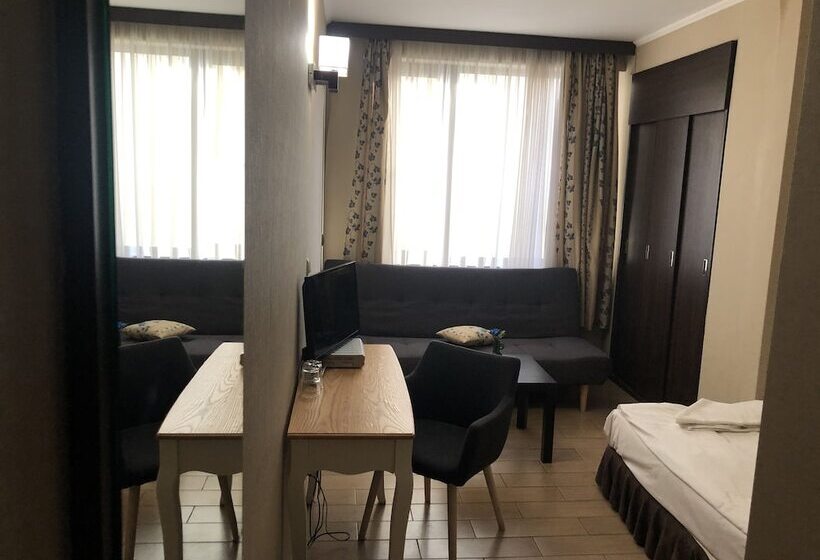 اتاق استاندارد یک نفره, Art