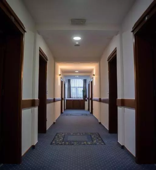 اتاق استاندارد سه نفره, Hum