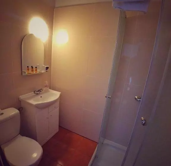 スタンダードシングルルーム, Komfort Inn   Dwór Hubertus