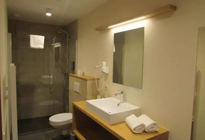 ベーシックルーム, Logis Hotel La Métairie & Son Auberge