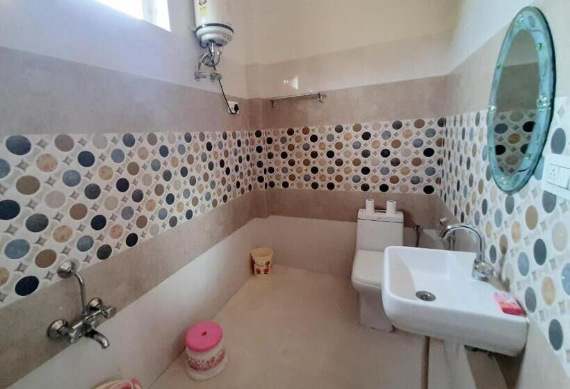 اتاق لوکس با بالکن, Divine Palace Pushkar