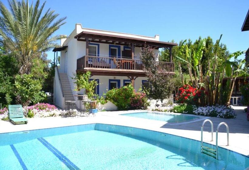 バルコニー付き１ベッドルームアパートメント, Paradise Gümüşlük