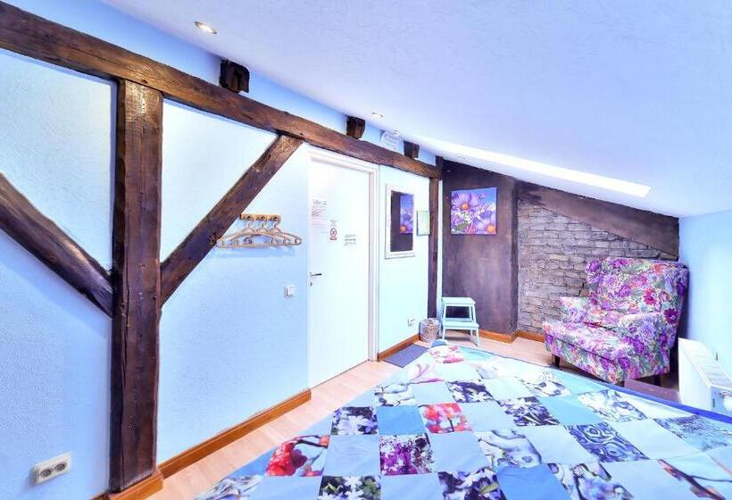 اتاق استاندارد با سرویس بهداشتی مشترک, Central Hostel