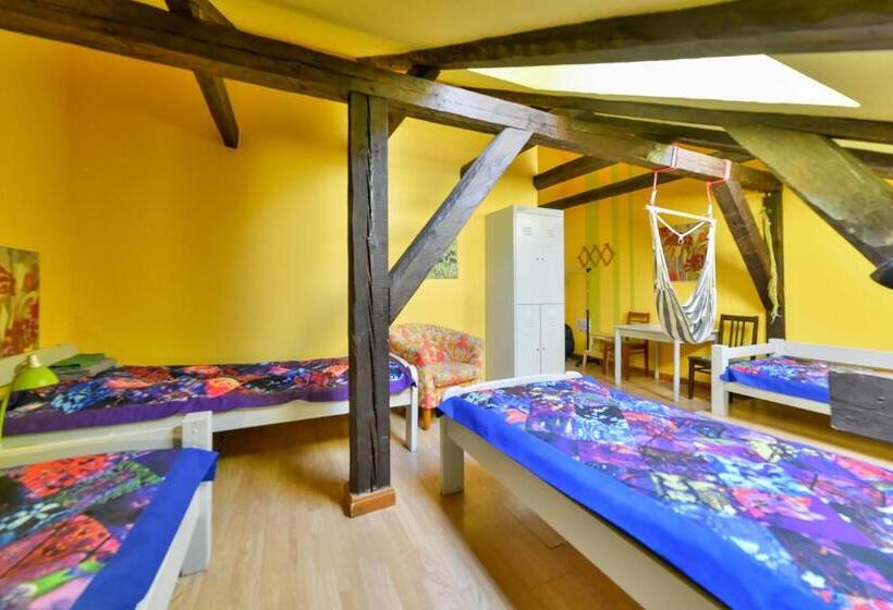 اتاق استاندارد چهارنفره با سرویس بهداشتی مشترک, Central Hostel