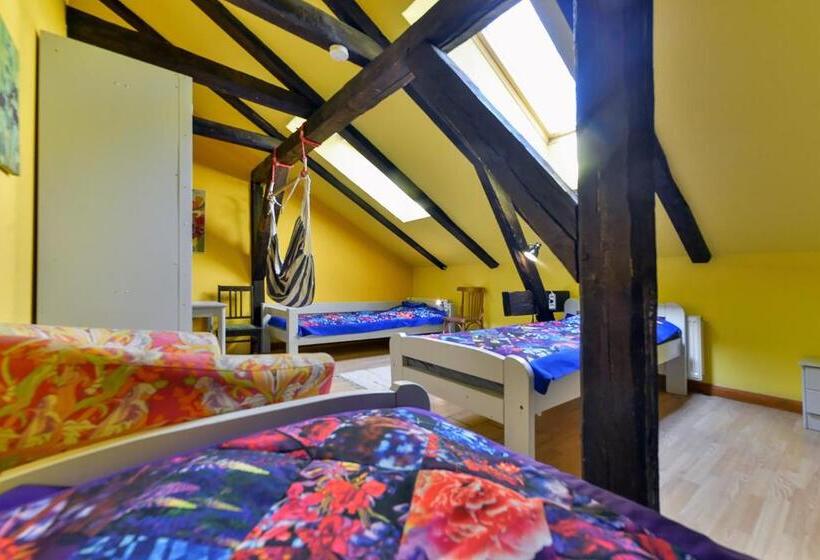 اتاق استاندارد چهارنفره با سرویس بهداشتی مشترک, Central Hostel