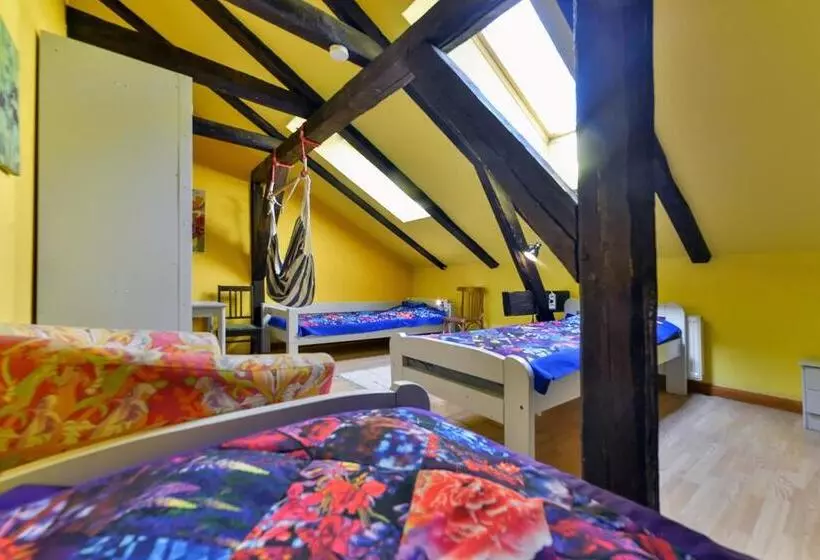 اتاق استاندارد چهارنفره با سرویس بهداشتی مشترک, Central Hostel