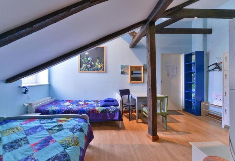 اتاق استاندارد چهارنفره با سرویس بهداشتی مشترک, Central Hostel